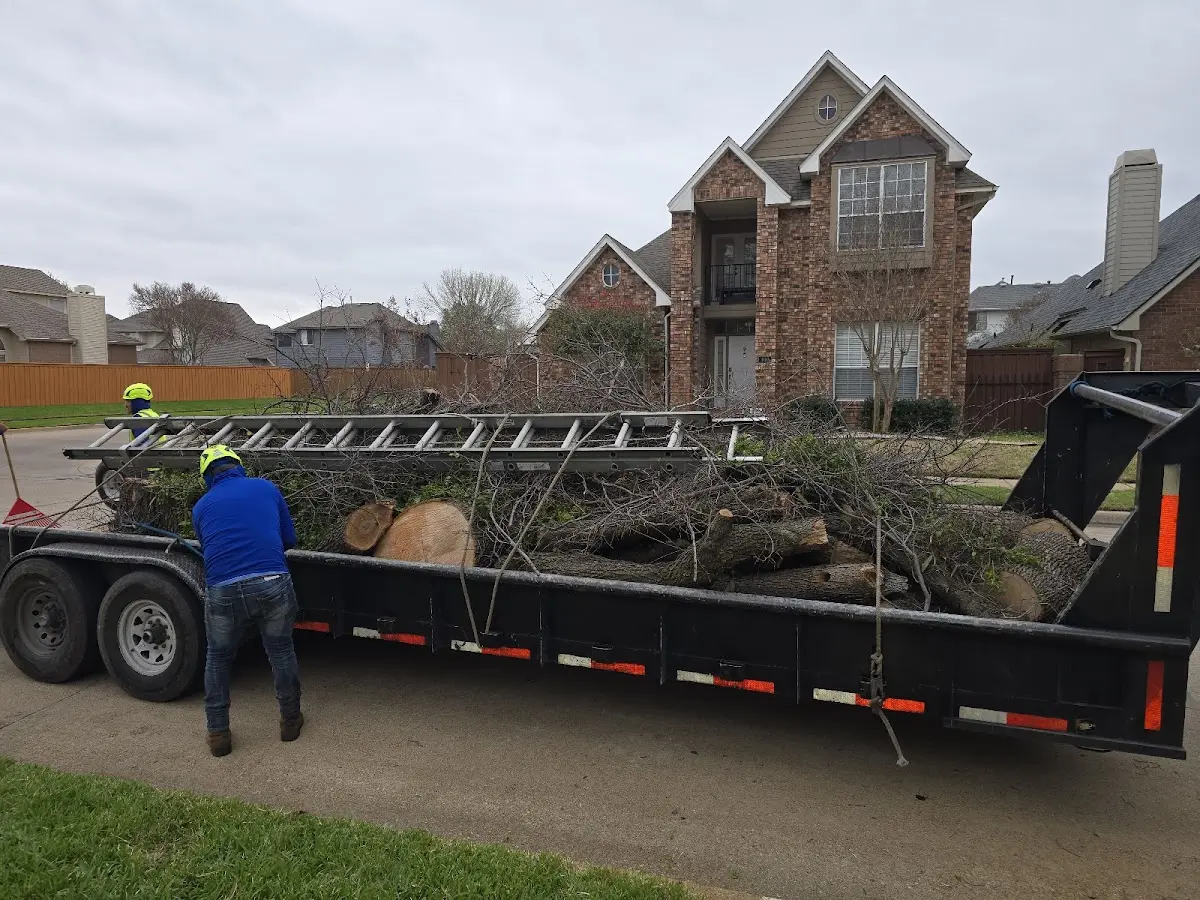 Expert Tree Pest Control with proper safety equipment in Grottoes